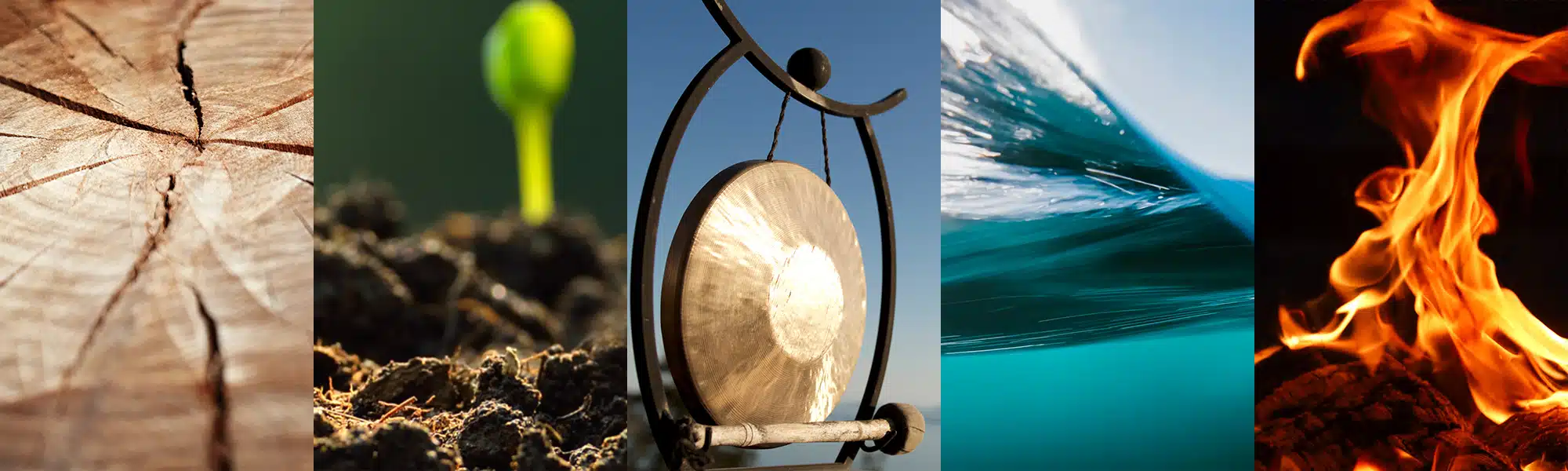 Understanding the Five Elements Theory in Shiatsu Massage