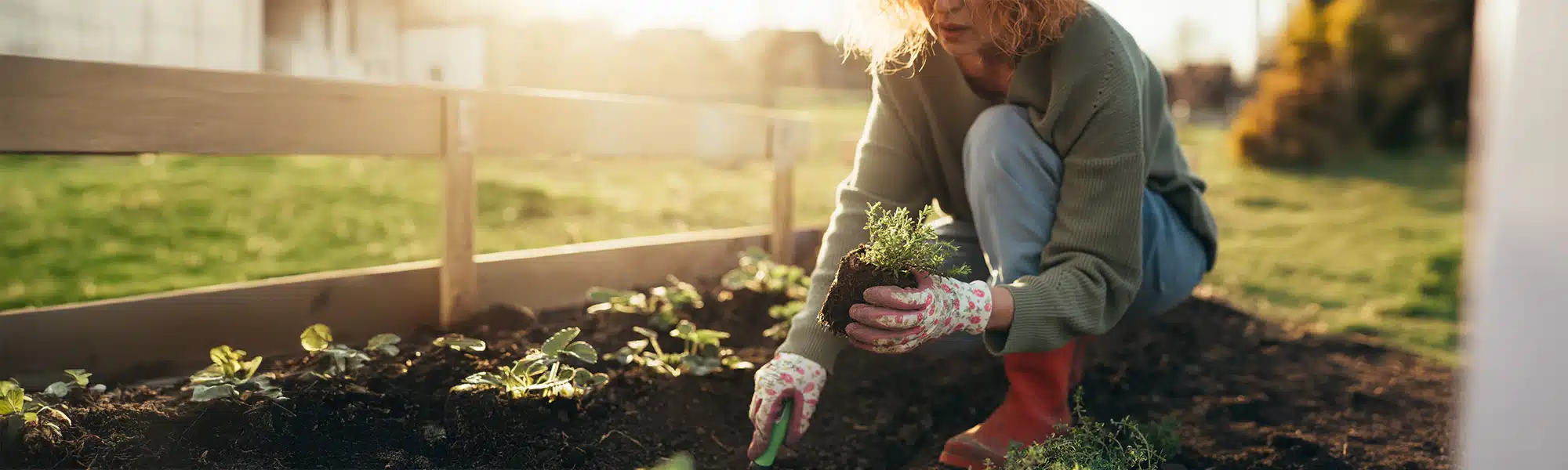 a woman gardening illustrating how simple daily movements or habits can lead to chronic pain if done incorrectly